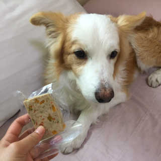 떡볶이죠아님이 올린 리뷰 사진 3