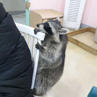 dgmugstar님이 올린 리뷰 사진 3