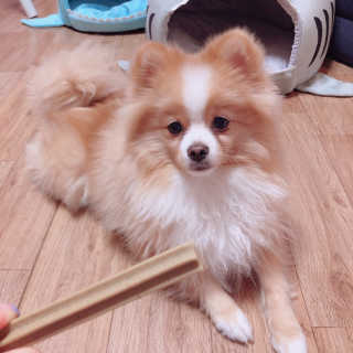영블리님이 올린 리뷰 사진 3
