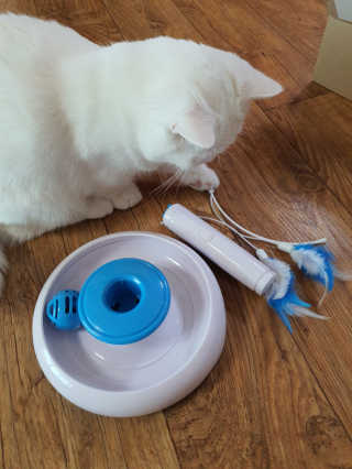 그리다님이 올린 리뷰 사진 2