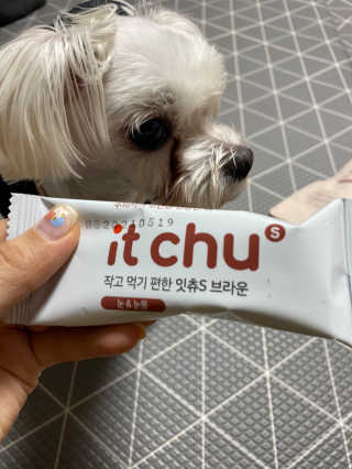핏펫 NEW 잇츄 — 5점을 준 리뷰어가 2019년 11월 올린 사용 사진