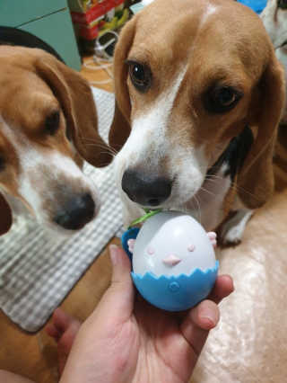 beaglelove님이 올린 리뷰 사진 3