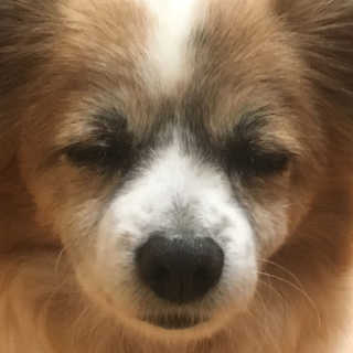김다인님이 올린 리뷰 사진 4
