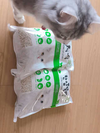 [펫토리아] BEST 고양이두부모래 6L 한삽뚝딱 — 4점을 준 리뷰어가 2019년 2월 올린 사용 사진