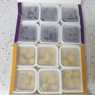 하츠하루님이 올린 리뷰 사진 2