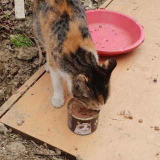 이승규님이 올린 리뷰 사진 1