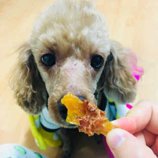 ChoiHaYoung님이 올린 리뷰 사진 4