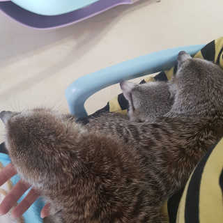 짱이야님이 올린 리뷰 사진 1