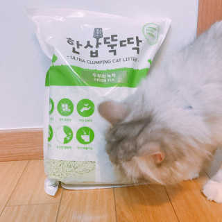 [펫토리아] BEST 고양이두부모래 6L 한삽뚝딱 — 3.5점을 준 리뷰어가 2019년 1월 올린 사용 사진