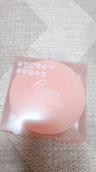 [블랙루즈] 피치 커버 벨벳 쿠션 2종 중 택1 — 5점을 준 리뷰어가 2019년 10월 올린 사용 사진
