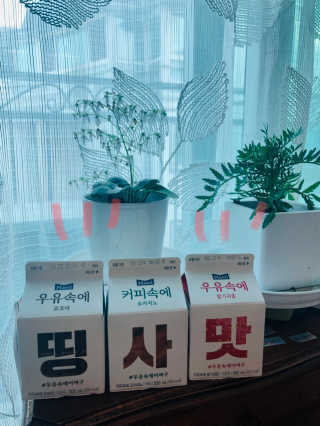 chloerose님이 올린 리뷰 사진 2