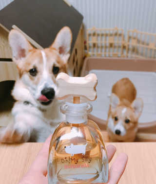 오!마이실리 오마이실리 반려동물 디퓨저 — 5점을 준 리뷰어가 2017년 11월 올린 사용 사진