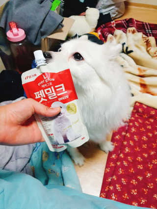 tmvksl5님이 올린 리뷰 사진 2