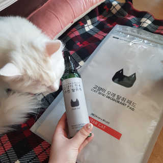 Hyojician님이 올린 리뷰 사진 1