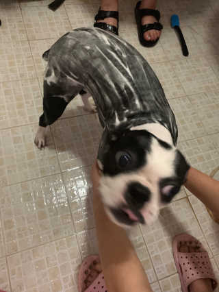 장진영님이 올린 리뷰 사진 2