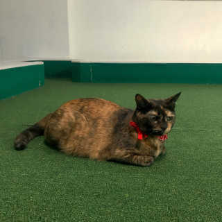 friday18pm님이 올린 리뷰 사진 3