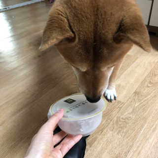 봄봄님이 올린 리뷰 사진 4
