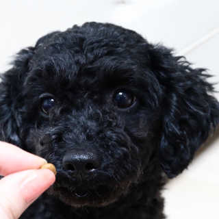 우와한언니님이 올린 리뷰 사진 3