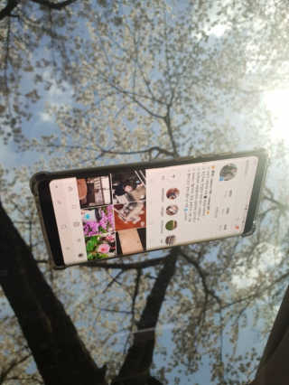 디플리님이 올린 리뷰 사진 1