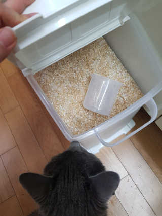 하루민님이 올린 리뷰 사진 2