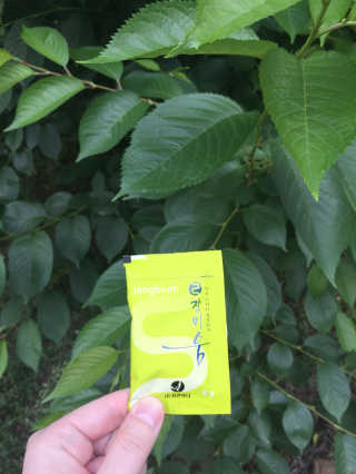 gpfus5825님이 올린 리뷰 사진 2