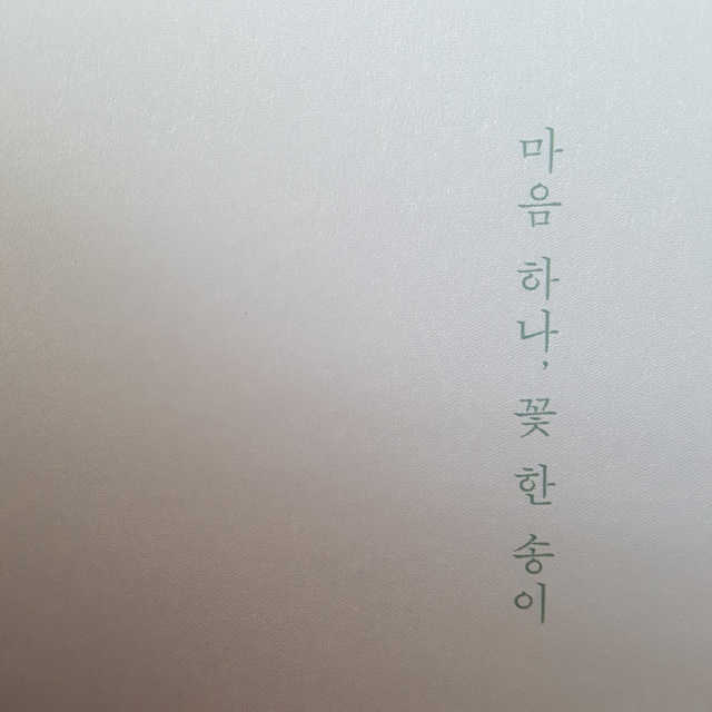마음 하나 꽃 한 송이 리뷰 사진