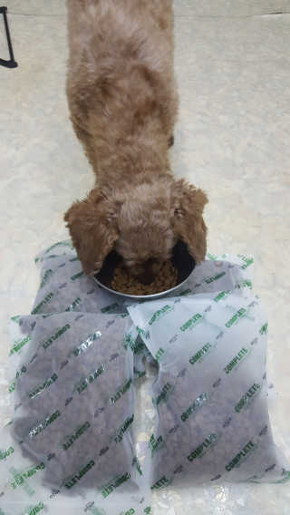 꾹꾹이님이 올린 리뷰 사진 2