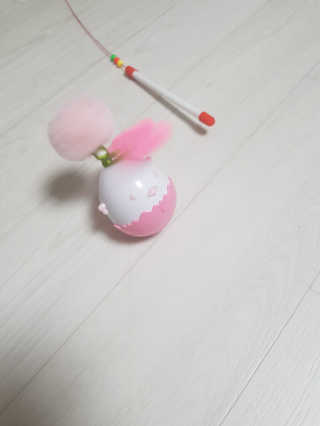 SuJinKim님이 올린 리뷰 사진 4