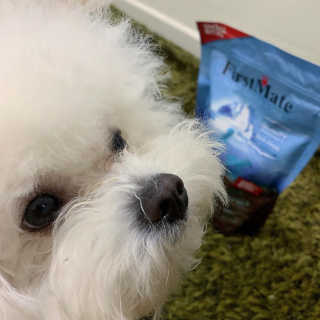 씅님이 올린 리뷰 사진 1