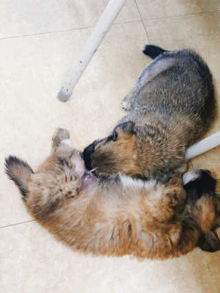 유징님이 올린 리뷰 사진 2