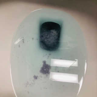 [펫토리아]한삽뚝딱 프리미엄 고양이 두부모래 — 5점을 준 리뷰어가 2019년 8월 올린 사용 사진