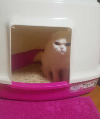 Dragonzoo님이 올린 리뷰 사진 3