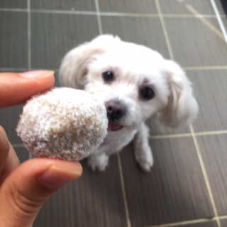 김주은님이 올린 리뷰 사진 2