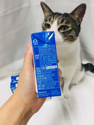 스키피피넛우유 스키피 피넛버터우유 — 5점을 준 리뷰어가 2019년 11월 올린 사용 사진