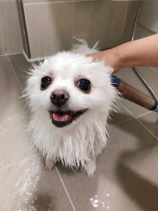 핸진님이 올린 리뷰 사진 4