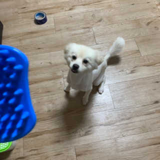 정혜원님이 올린 리뷰 사진 2