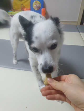 복실이님이 올린 리뷰 사진 1