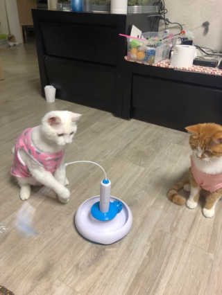 ㅎㅈㅎㅈ님이 올린 리뷰 사진 4