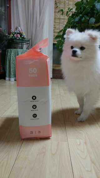 세상에없는나님이 올린 리뷰 사진 4