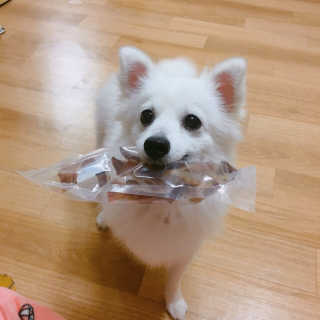 봄봄님이 올린 리뷰 사진 2