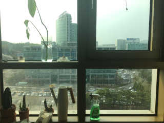 muzibom님이 올린 리뷰 사진 1