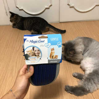 Four paws 리뉴얼 포포즈 매직코트 털 제거 브러쉬 — 5점을 준 리뷰어가 2018년 8월 올린 사용 사진