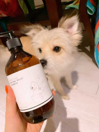 이정현님이 올린 리뷰 사진 1