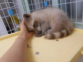 김이설님이 올린 리뷰 사진 3