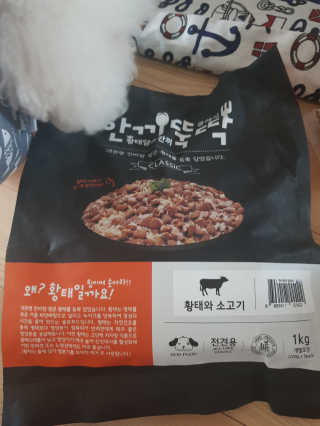 펫토리아 한끼뚝딱 클래식 국산 건식사료 — 4점을 준 리뷰어가 2019년 7월 올린 사용 사진