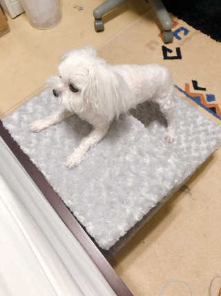 댑빵이님이 올린 리뷰 사진 4