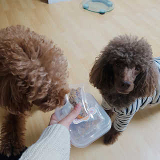 코밍쏭님이 올린 리뷰 사진 1