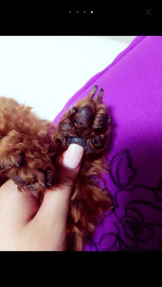 김은지님이 올린 리뷰 사진 1