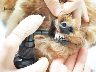 최정임님이 올린 리뷰 사진 3