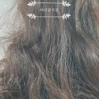 청청님이 올린 리뷰 사진 2